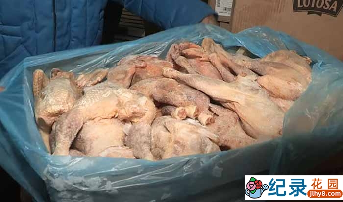 非洲穷人生活纪录片《非洲贫民的致命鸡肉》全1集中字 1080P高清自媒体解说素材百度云盘下载