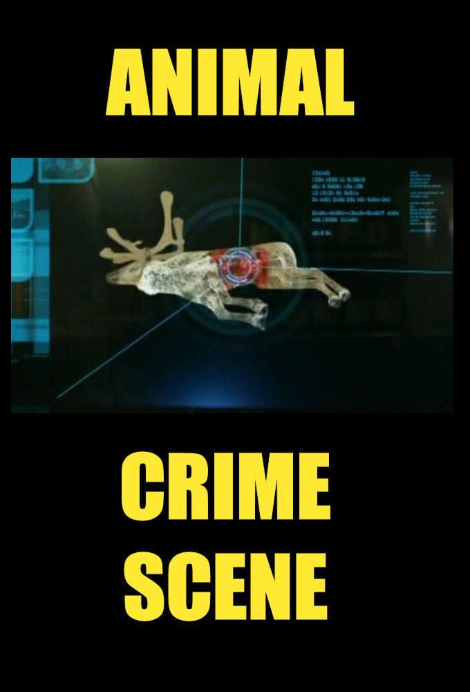 动物犯罪现场 Animal Crime Scene