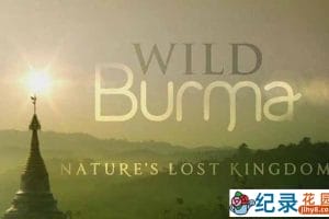 BBC自然生态纪录片《野性缅甸-失落的自然王国 Wild Burma: Nature’s Lost Kingdom》第1季 720P/1080i高清纪录片百度云下载