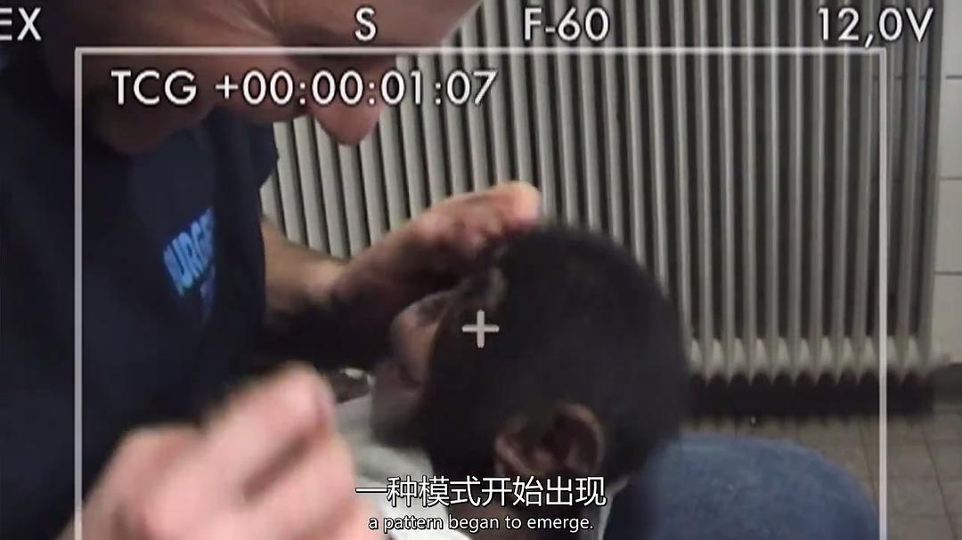 超萌动物 Super Cute Animals