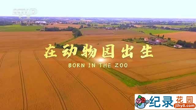 国家地理动物哺育纪录片《在动物园出生 Born in the Zoo》全1集中字 TS/蓝光高清纪录片资源百度云盘下载