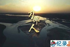 央视艺术人文纪录片《刀郎人》全1集 TS/蓝光高清纪录片资源百度云盘下载