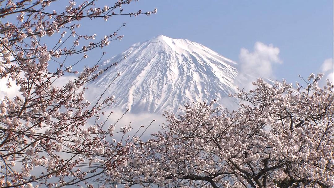 THE世界遗产 京都·富士山 THE世界遺産4K 秋スペシャル 京都&amp;富士山