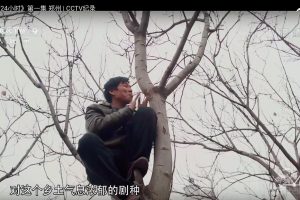 城市24小时 24 Hours In the City