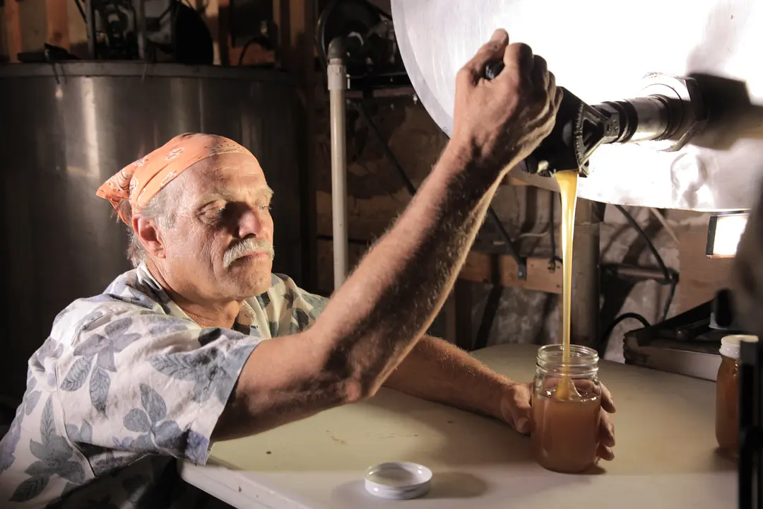 采得百花成蜜后 More Than Honey