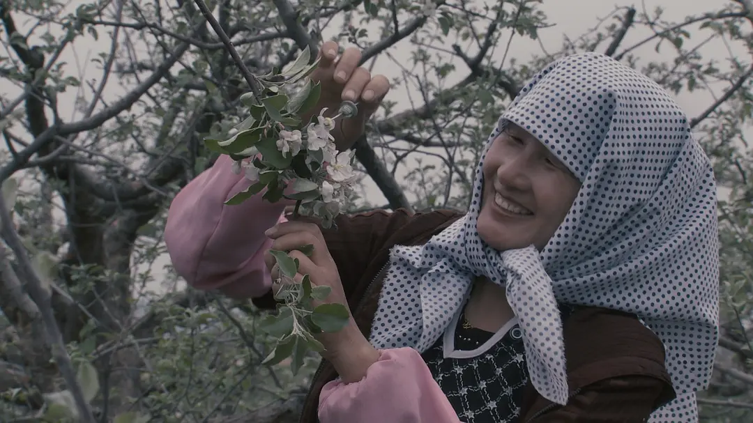 采得百花成蜜后 More Than Honey