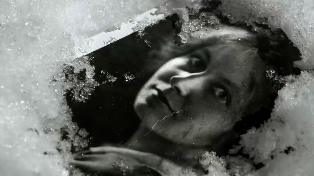 最狂野的梦想：征服珠峰 The Wildest Dream