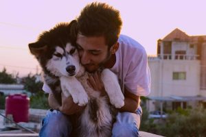 爱犬情深 第一季 Dogs Season 1