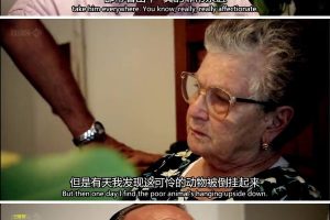 贪嘴意大利 第一季 Two Greedy Italians Season 1