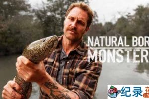 国家地理野生动物纪录片《天生悍兽 Nature Born Monsters》全8集中字 TS/蓝光高清纪录片资源百度云盘下载