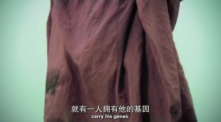 人类：我们所有人的故事 第一季 Mankind: the Story of All of Us Season 1