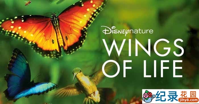 迪士尼自然生物纪录片《生命的翅膀 Wings Of Life 2013》全1集 720P/1080i高清纪录片资源百度云盘下载