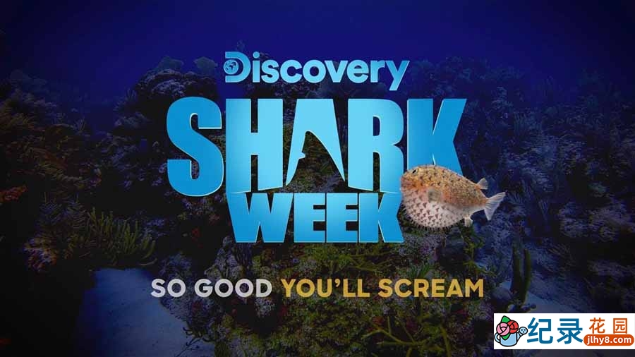 探索频道鲨鱼研究纪录片《鲨鱼周 2013 Shark Week》全10集中字 纪录片解说素材百度云盘下载 1080/MP4/26.6G