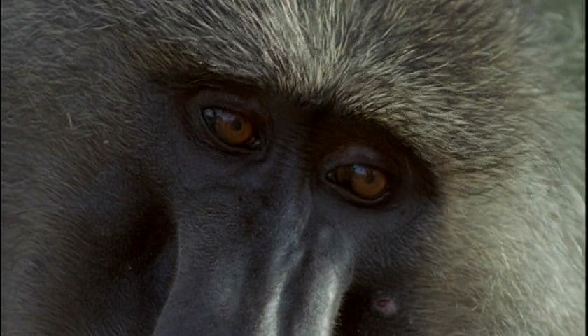 群体大自然 Massive Nature