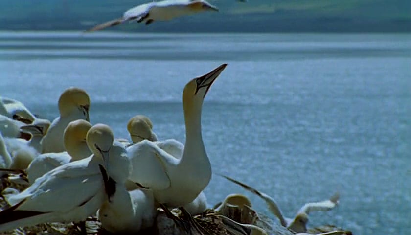 群体大自然 Massive Nature