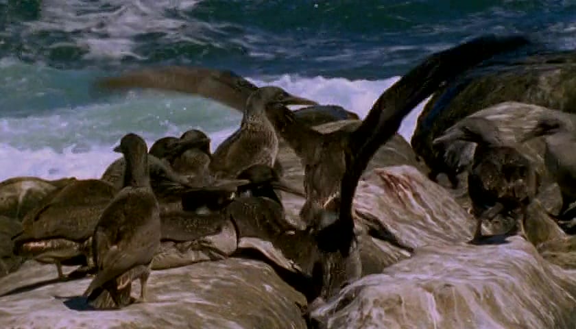 群体大自然 Massive Nature