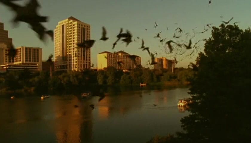 群体大自然 Massive Nature