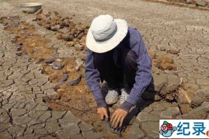 捕鱼纪录片《旱地挖鱼》第2季原版无字 4K高清自媒体解说素材百度云盘下载