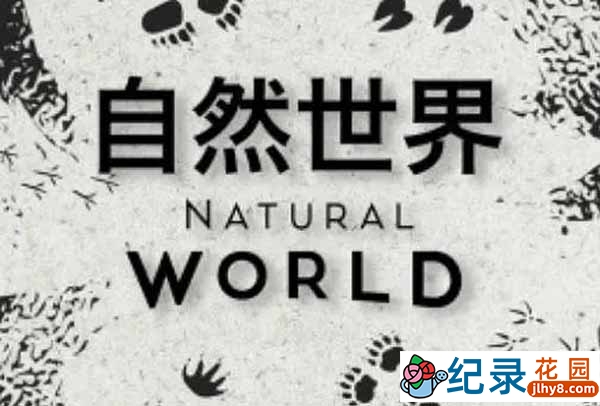 BBC自然生物纪录片《自然世界 Natural World》合集原版 720P/1080i高清纪录片资源百度云盘下载
