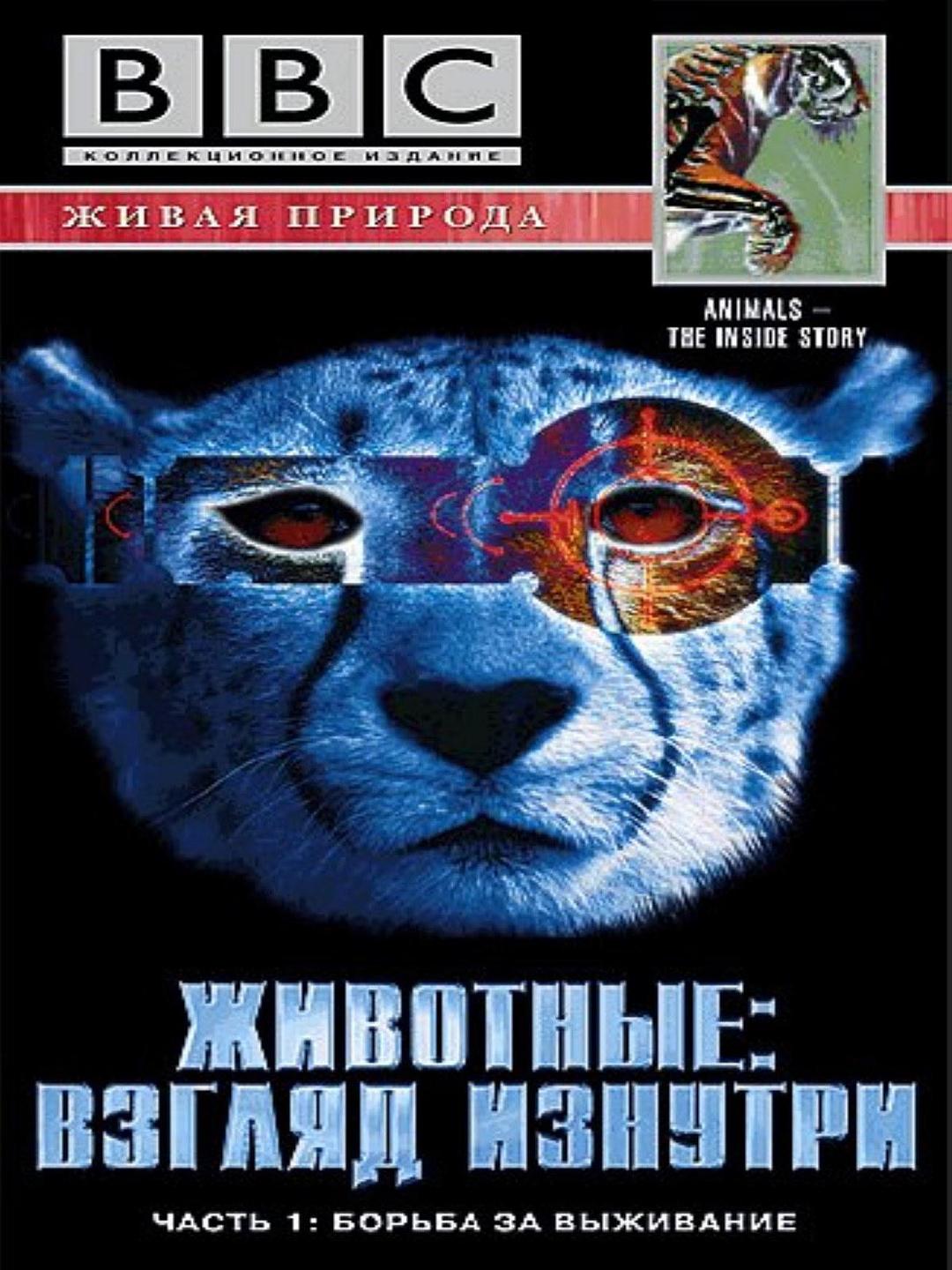 透视动物 Animal The Inside Story