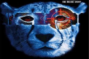 透视动物 Animal The Inside Story