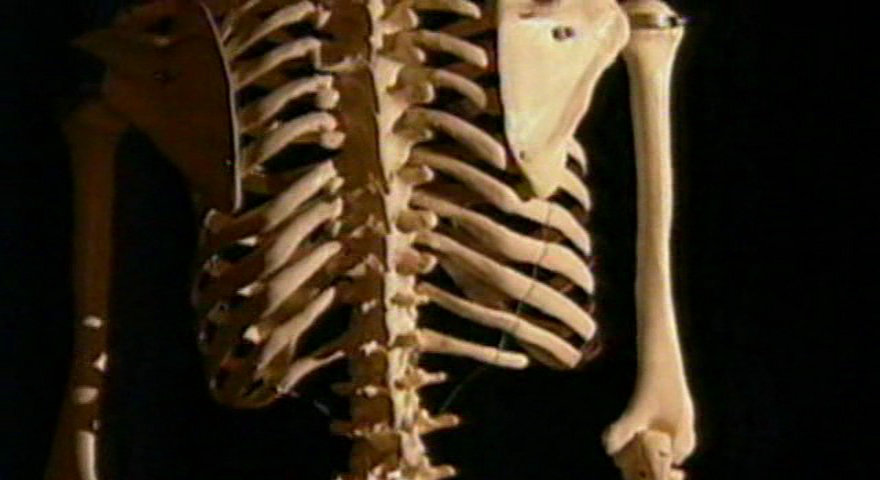 地平线系列：维生素真相 Horizon: The Truth About Vitamins