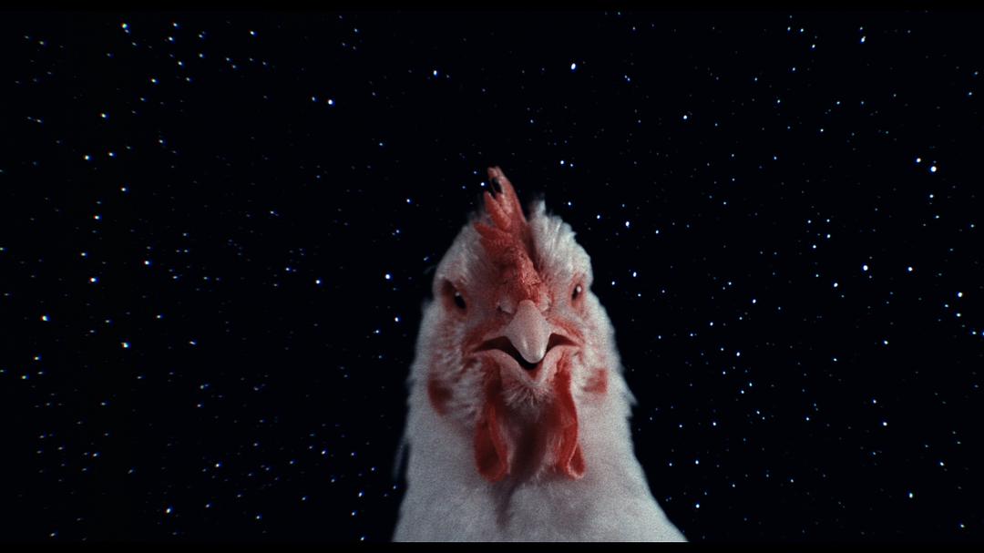 时间简史 A Brief History of Time