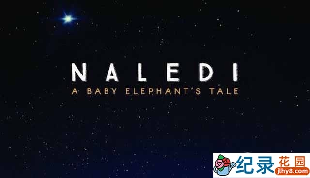 Netflix野生大象纪录片《纳勒迪：一只小象的故事 Naledi: A Baby Elephant’s Tale》全1集 720P/1080i高清纪录片资源百度云盘下载