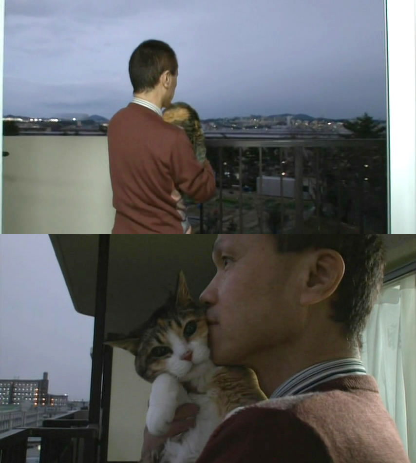 猫咪物语5 にゃんこ THE MOVIE 5