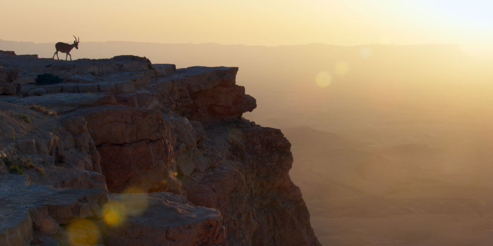 地球脉动 第二季 Planet Earth Season 2
