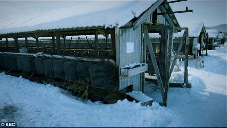 揭秘亿万富豪的衣橱 Inside the Billionaire's Wardrobe