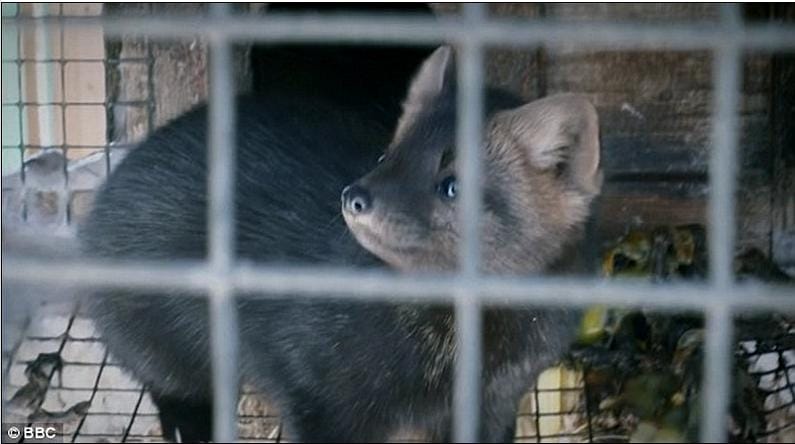 揭秘亿万富豪的衣橱 Inside the Billionaire's Wardrobe