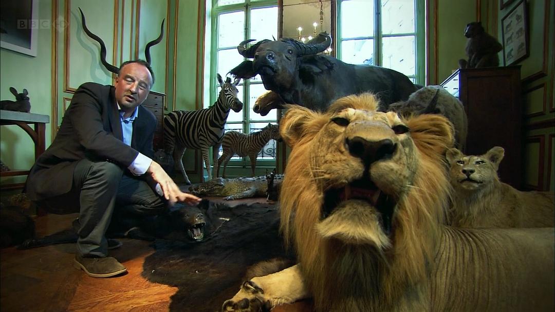 性与情：新艺术的魅力 Sex and Sensibility: The Allure of Art Nouveau