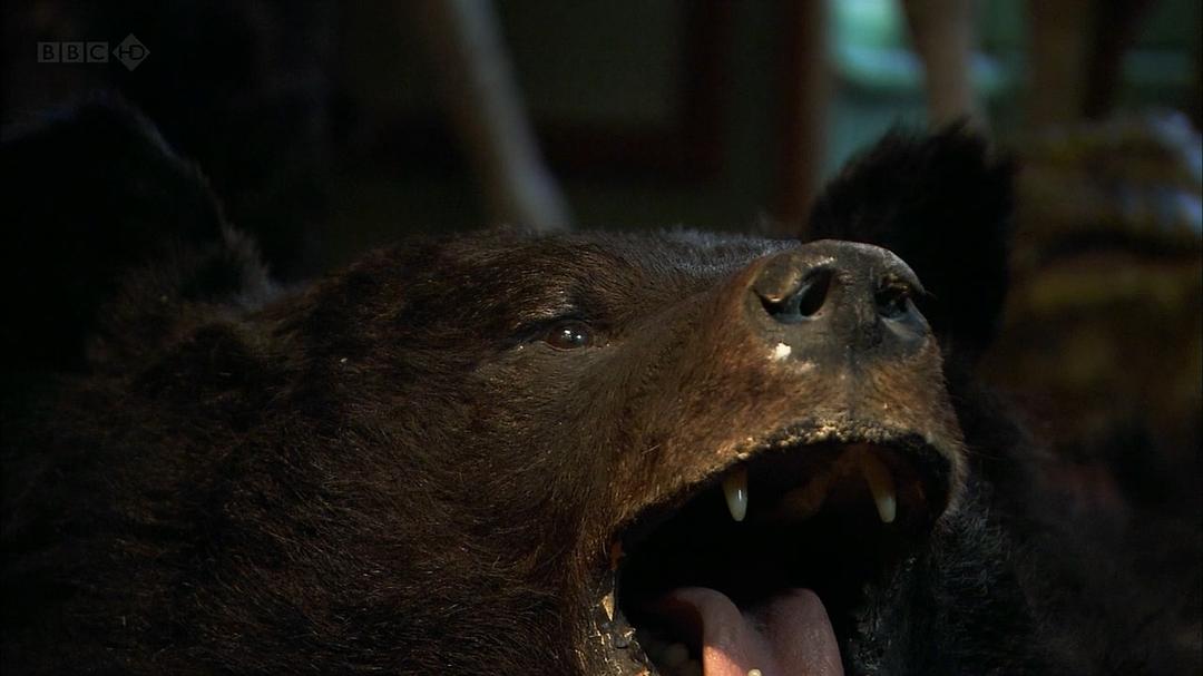 性与情：新艺术的魅力 Sex and Sensibility: The Allure of Art Nouveau