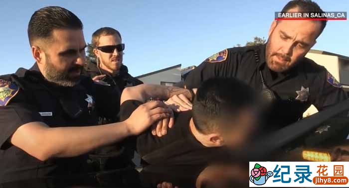 警察抓捕真人秀《直击追捕现场 Live PD》精选合集中字 1080高清自媒体解说素材百度云盘下载