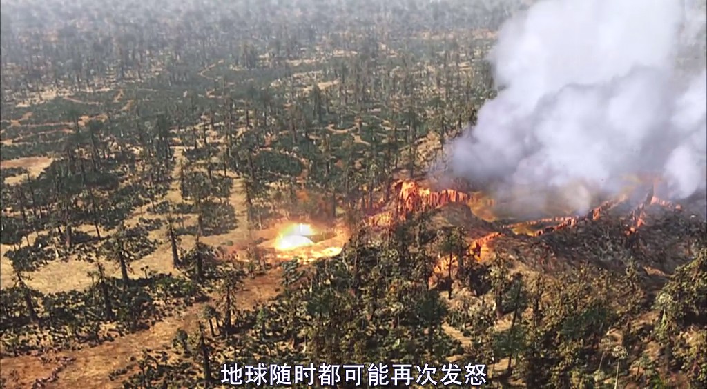 动物的末日 Animal Armageddon