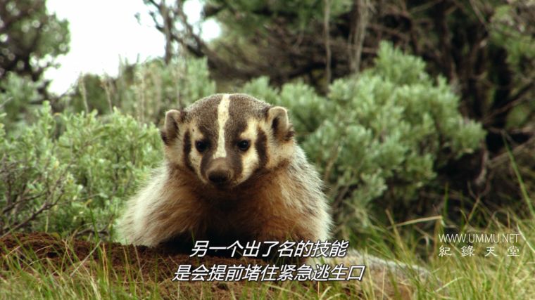 美国国家公园 Americas National Parks