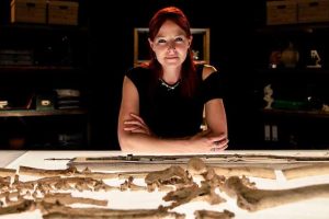 BBC历史考古纪录片《挖掘英国 Digging for Britain》第3季全3集中字 纪录片解说素材百度云盘下载 1080/MKV/9.8G