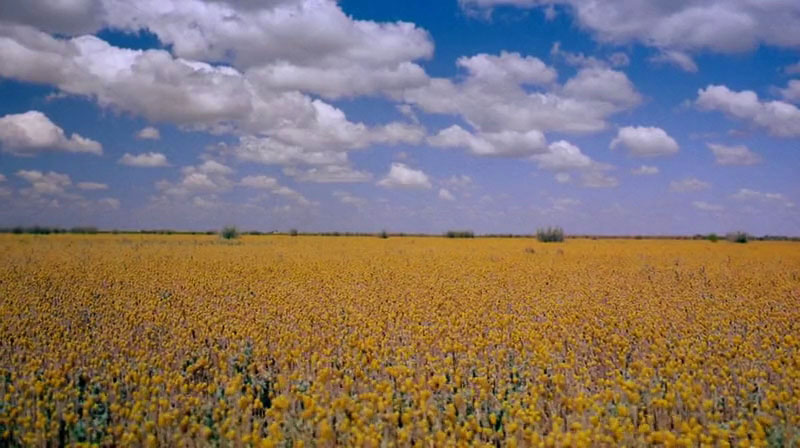 澳洲奇趣之旅 Australia: Land Beyond Time