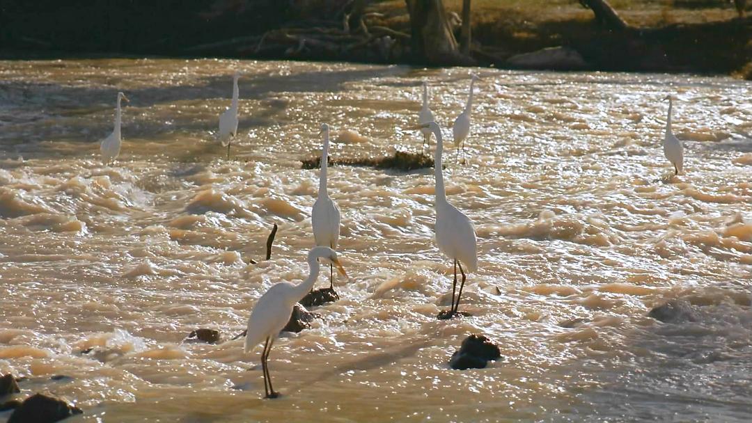 澳洲奇趣之旅 Australia: Land Beyond Time