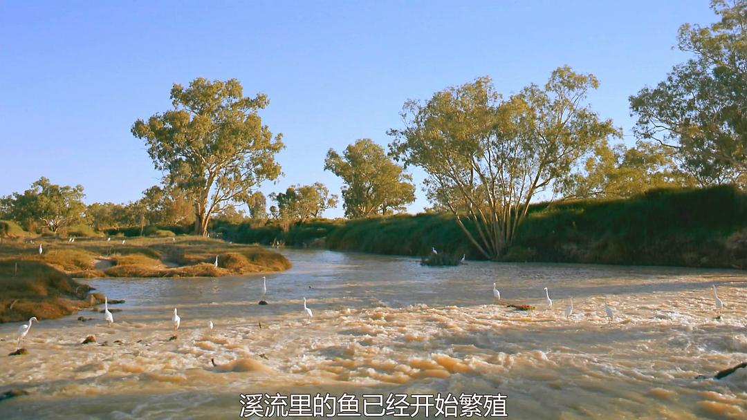 澳洲奇趣之旅 Australia: Land Beyond Time