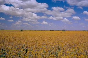 澳洲奇趣之旅 Australia: Land Beyond Time