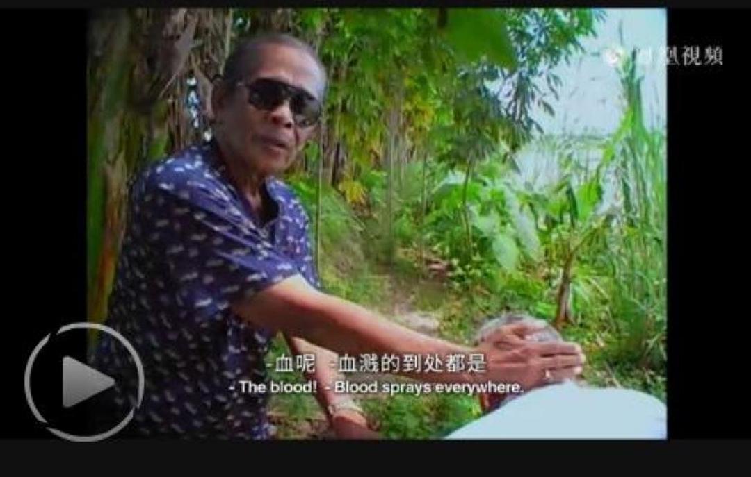 沉默之像 The Look of Silence