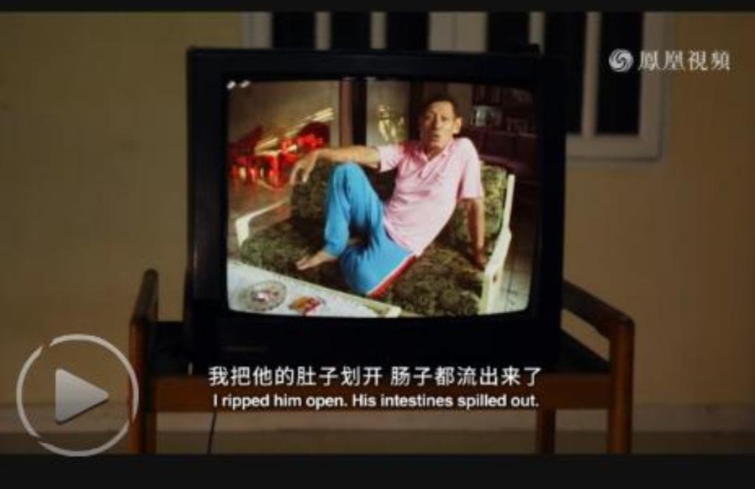 沉默之像 The Look of Silence