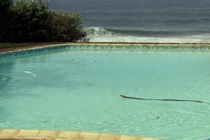 眼镜蛇黑手党 Cobra Mafia