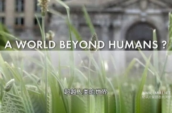 超越人类的世界 A World Beyond Humans