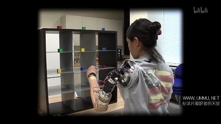 超越人类的世界 A World Beyond Humans