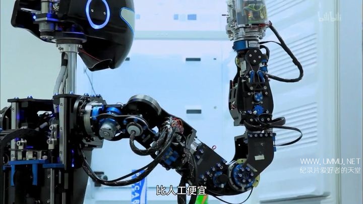 超越人类的世界 A World Beyond Humans