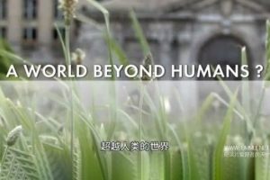 超越人类的世界 A World Beyond Humans
