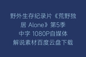野外生存纪录片《荒野独居 Alone》第5季中字 1080P自媒体解说素材百度云盘下载
